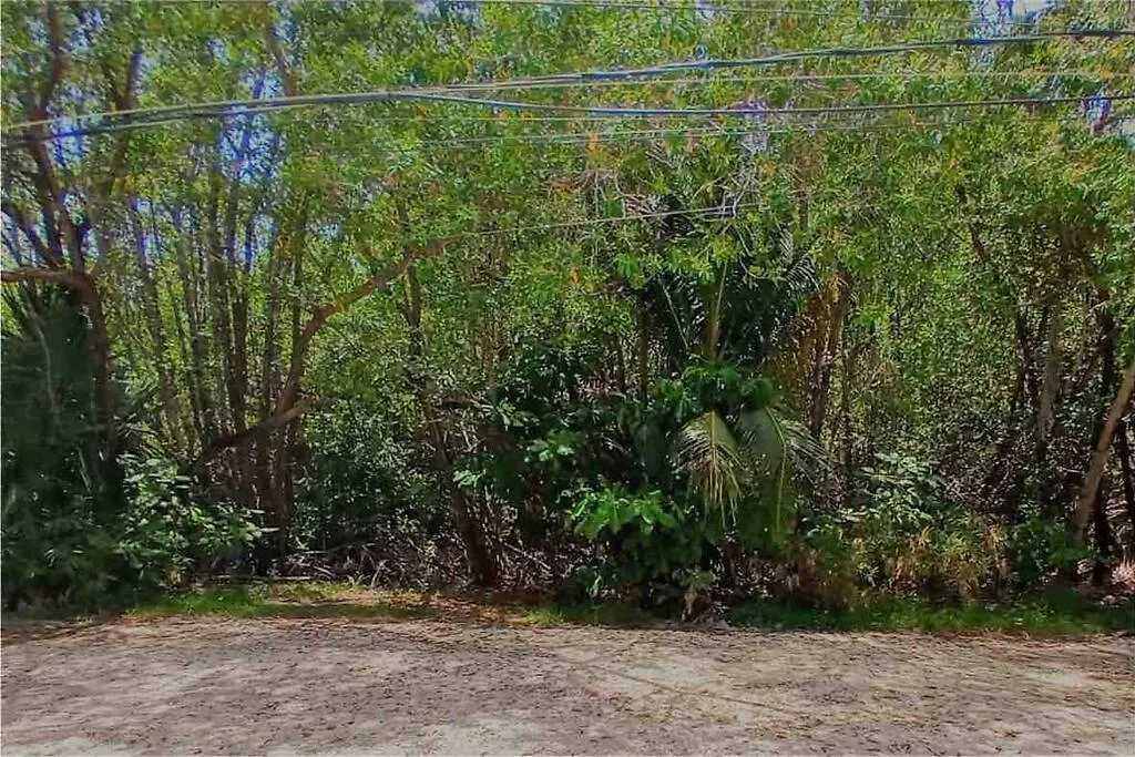 Manglar 2 Apartment Puerto Morelos