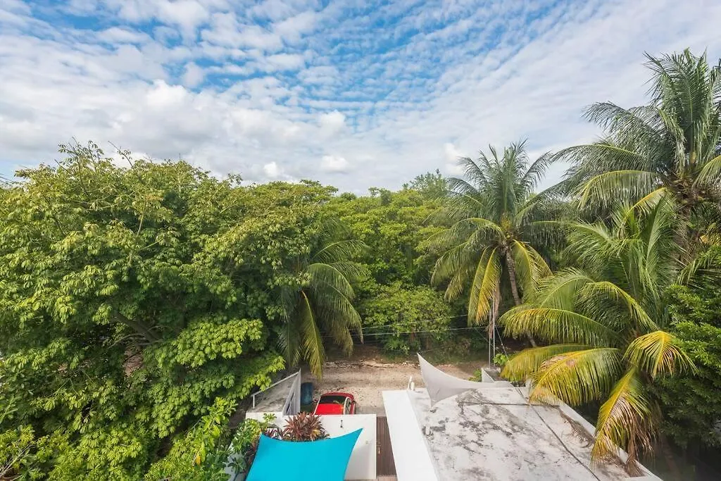Manglar 2 Apartment Puerto Morelos Mexico